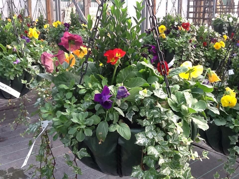 Hanging Gardens Tea Room & Garden Centre